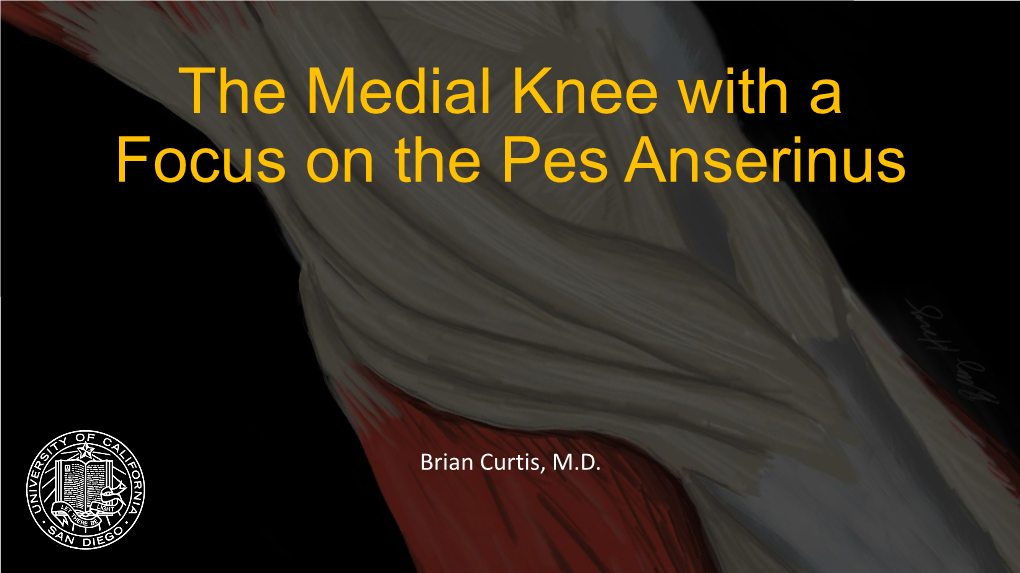 The Medial Knee with a Focus on the Pes Anserinus