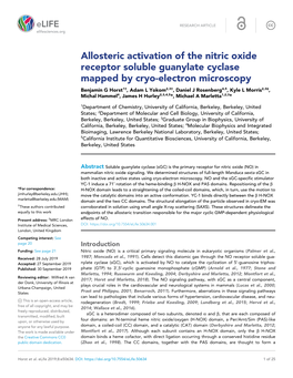Allosteric Activation of the Nitric Oxide Receptor Soluble Guanylate Cyclase