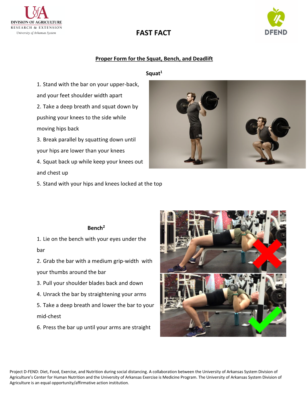 Proper Form for the Squat, Bench, and Deadlift