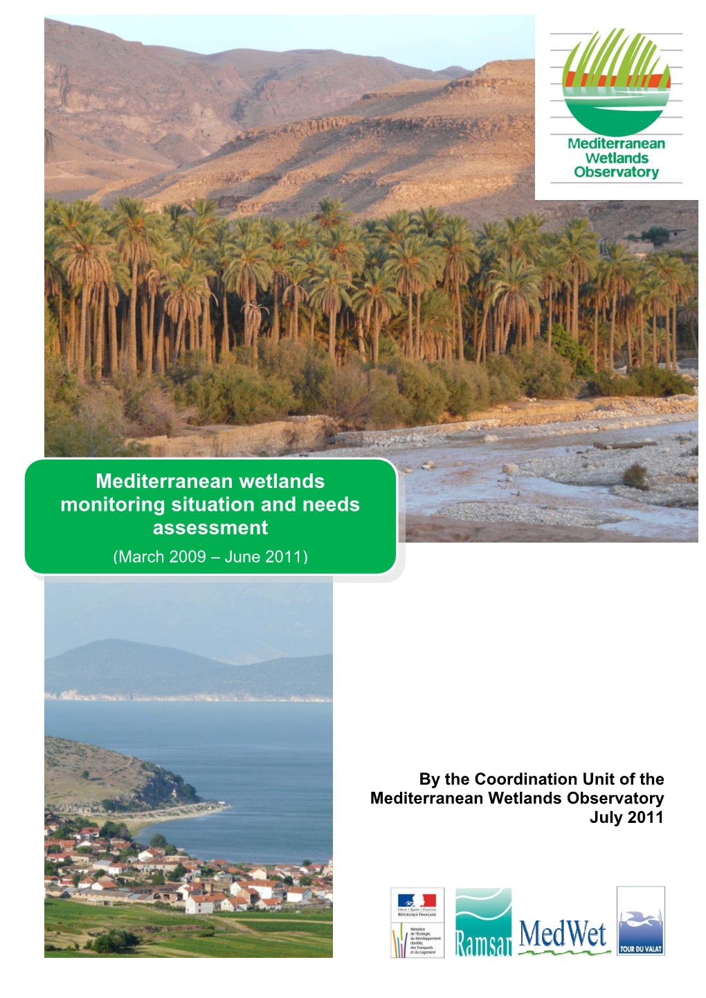 Mediterranean Wetlands Monitoring Situation and Needs Assessment
