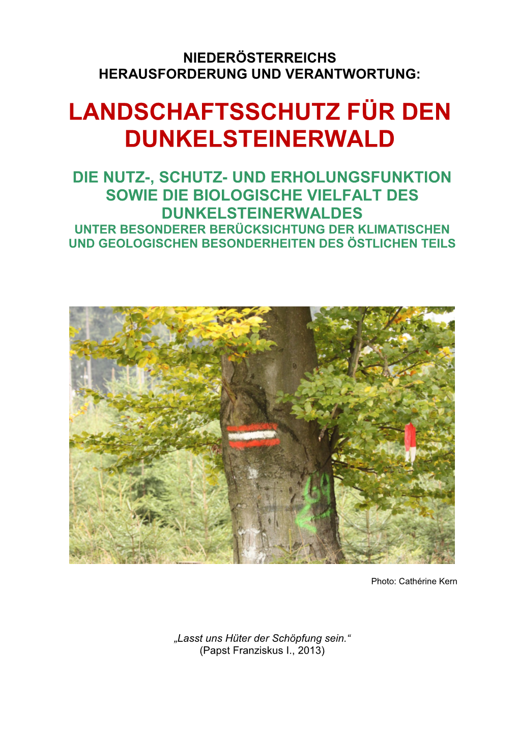 Erweiterte Studie Zur Biodiversität Im Dunkelsteinerwald