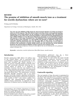 The Promise of Inhibition of Smooth Muscle Tone As a Treatment for Erectile Dysfunction: Where Are We Now?