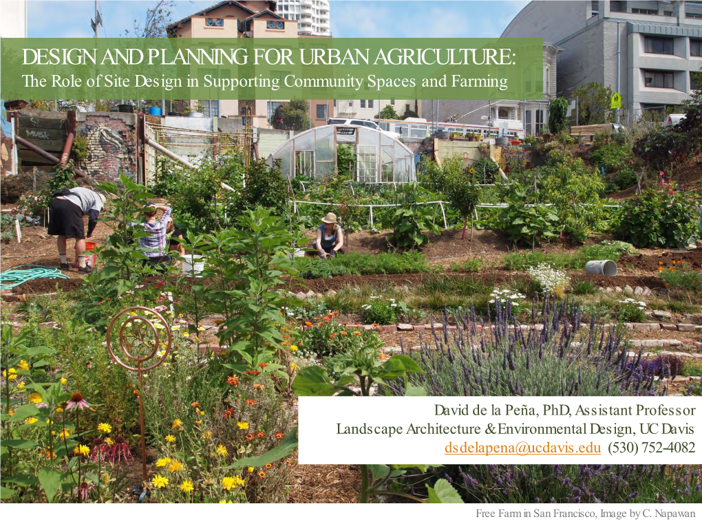 DESIGN and PLANNING for URBAN AGRICULTURE: the Role of Site Design in Supporting Community Spaces and Farming