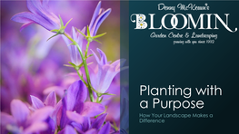Planting with a Purpose How Your Landscape Makes a Difference Why Should We Care? We Are Part of the Environment