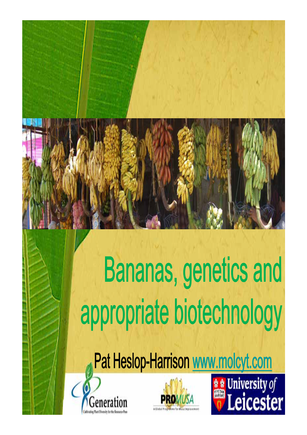 Bananas, Genetics and Appropriate Biotechnology Pat Heslop -Harrison Www