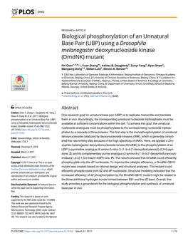 Biological Phosphorylation of an Unnatural Base Pair (UBP) Using a Drosophila Melanogaster Deoxynucleoside Kinase (Dmdnk) Mutant