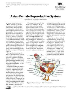 ASC-201: Avian Female Reproductive System