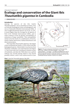 Ecology and Conservation of the Giant Ibis Thaumatibis Gigantea in Cambodia OMALISS KEO