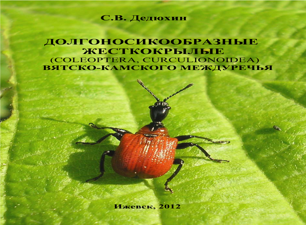 Долгоносикообразные Жесткокрылые (Coleoptera, Curculionoidea) Вятско-Камского Междуречья