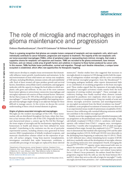 The Role of Microglia and Macrophages in Glioma Maintenance and Progression