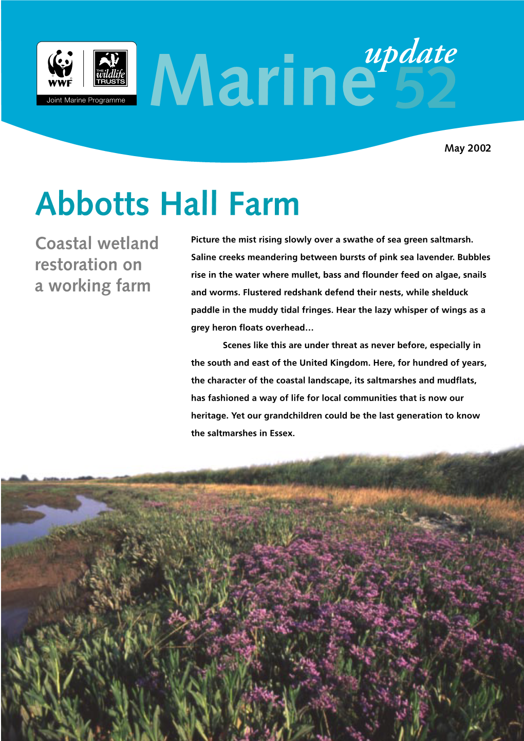 Abbotts Hall Farm Coastal Wetland Picture the Mist Rising Slowly Over a Swathe of Sea Green Saltmarsh