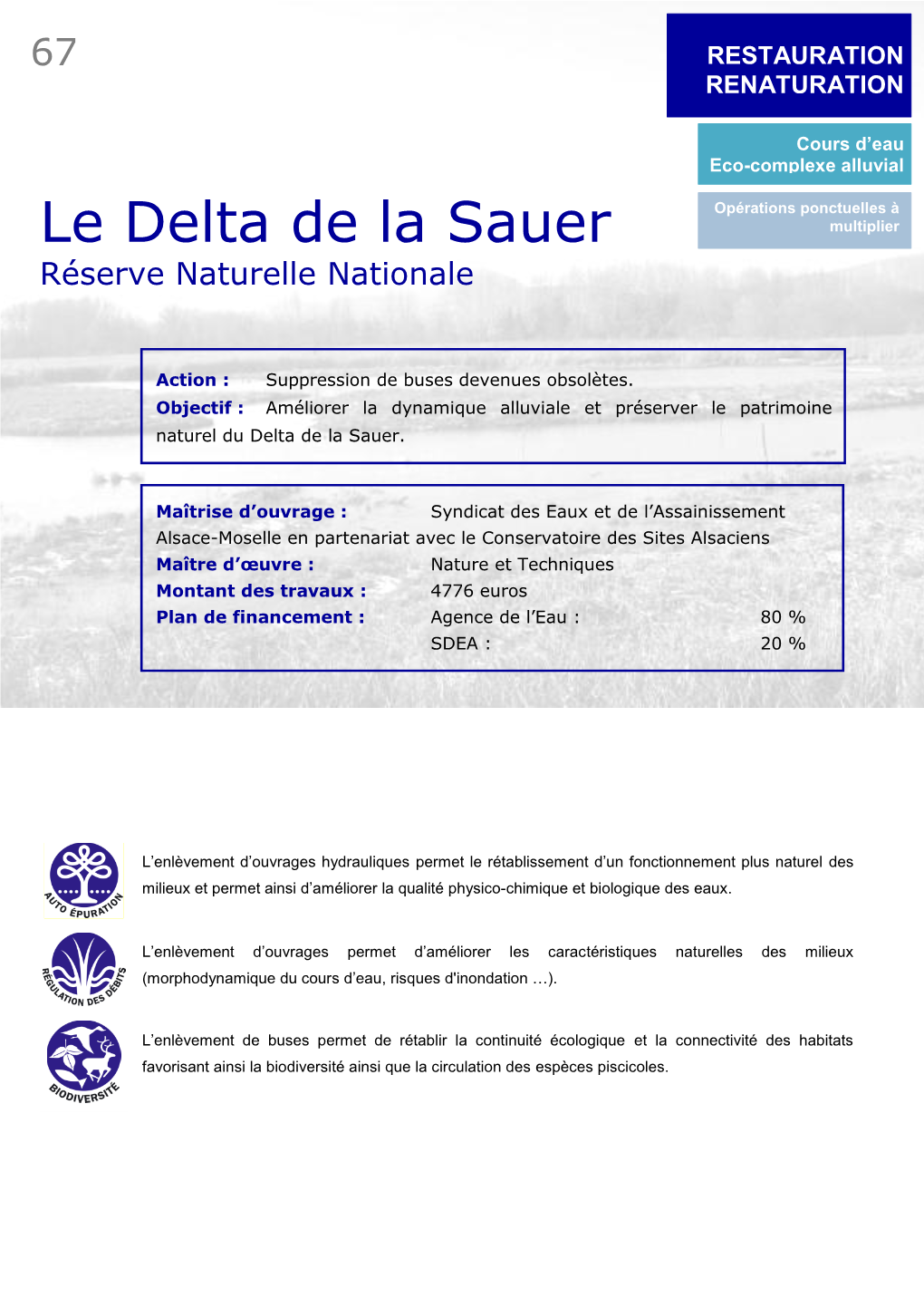 Le Delta De La Sauer Multiplier Réserve Naturelle Nationale