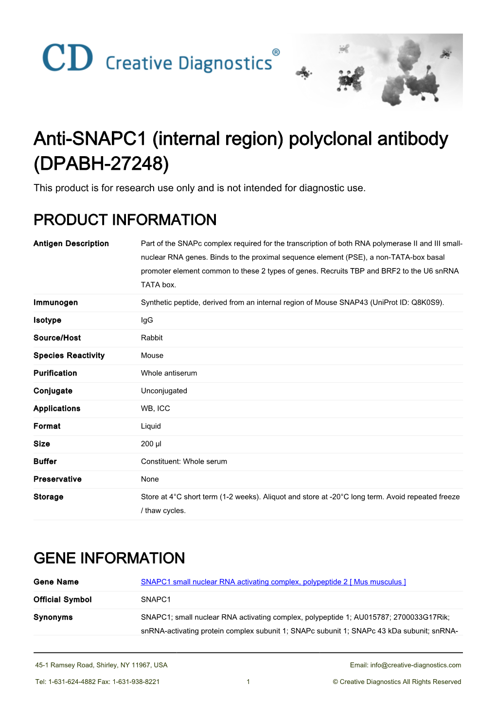 Anti-SNAPC1 (Internal Region) Polyclonal Antibody (DPABH-27248) This Product Is for Research Use Only and Is Not Intended for Diagnostic Use