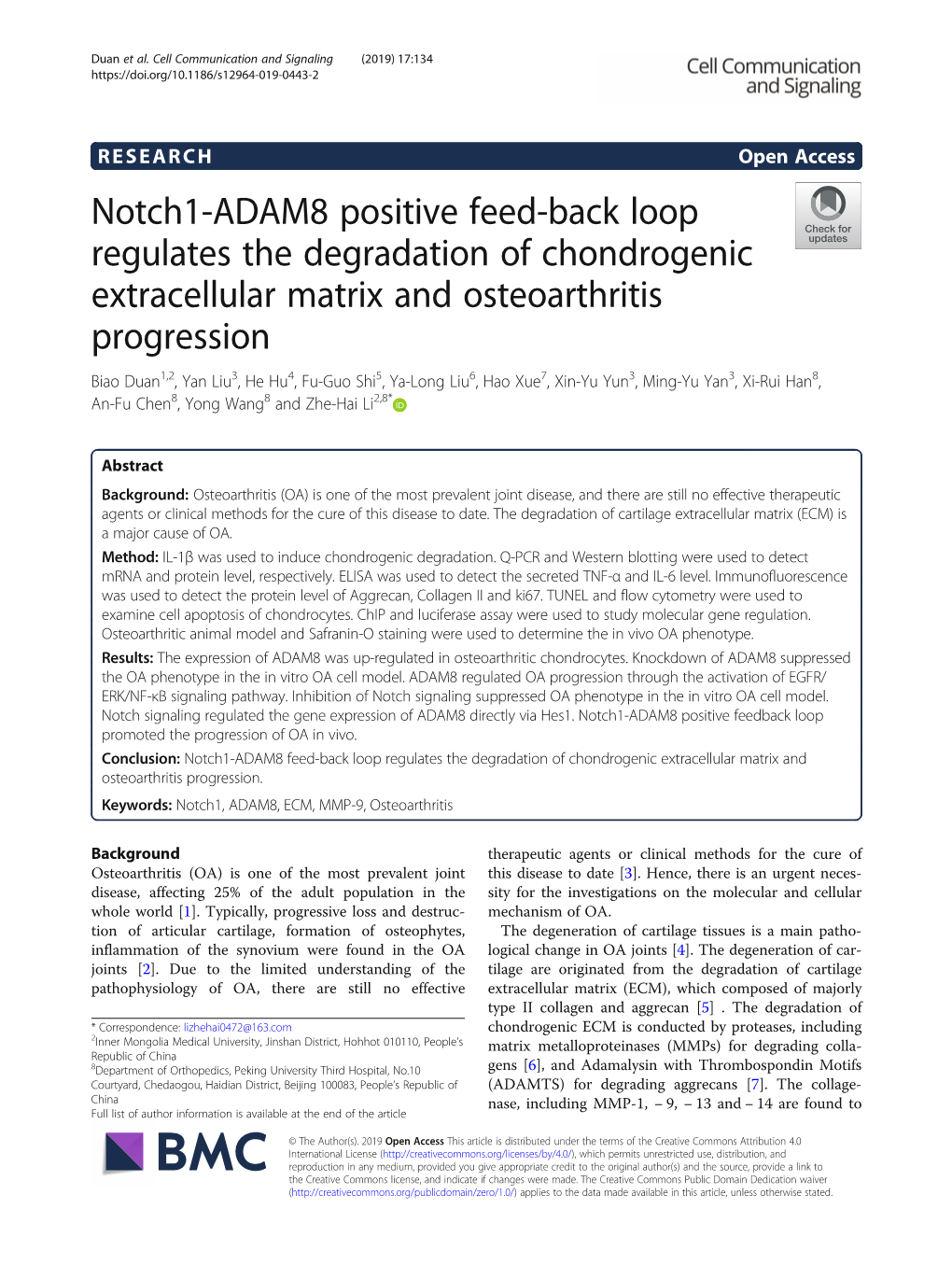 Notch1-ADAM8 Positive Feed-Back Loop Regulates the Degradation Of