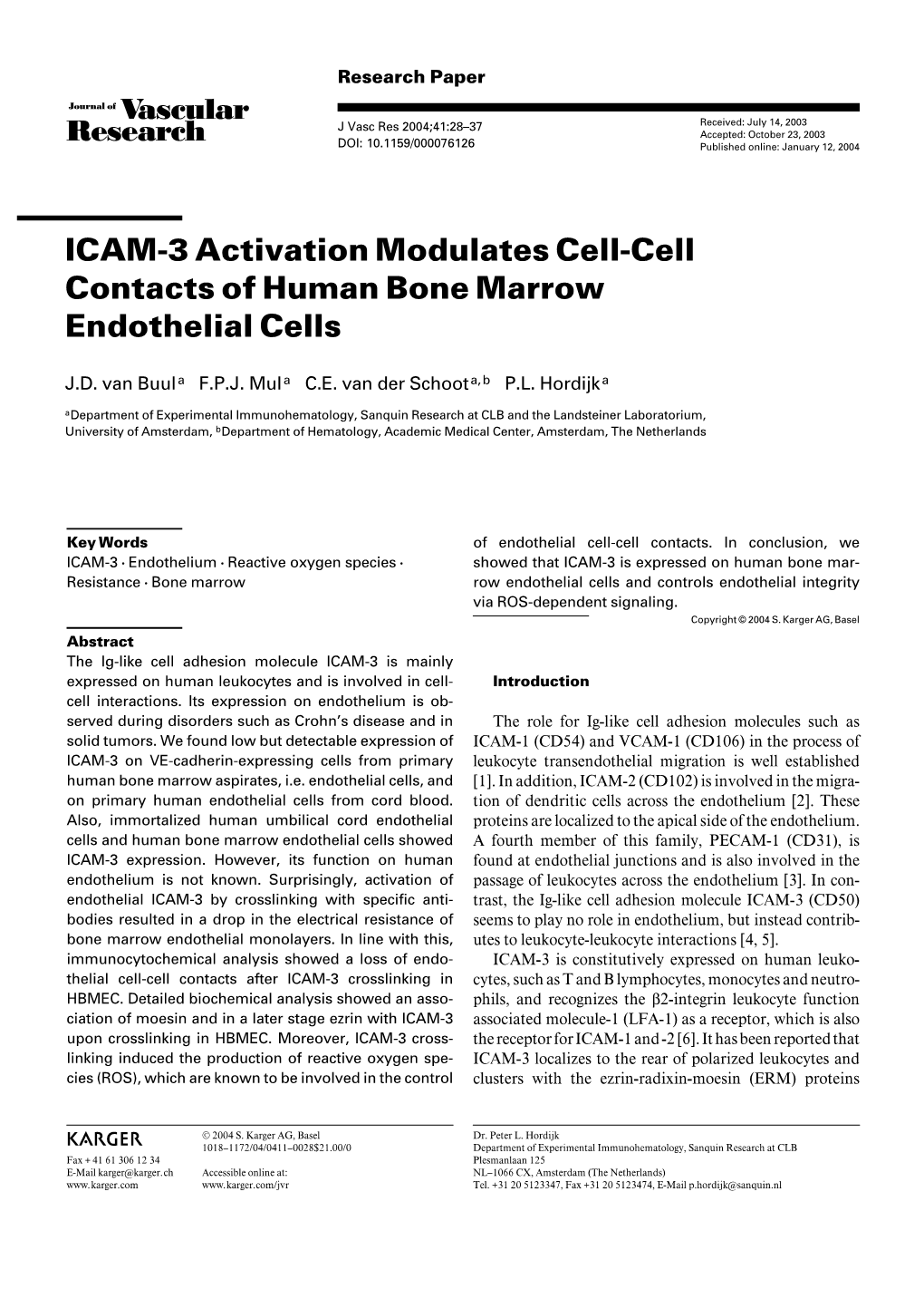 ICAM-3 Activation Modulates Cell-Cell Contacts of Human Bone Marrow Endothelial Cells