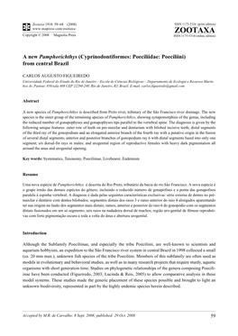 Zootaxa, a New Pamphorichthys (Cyprinodontiformes: Poeciliidae