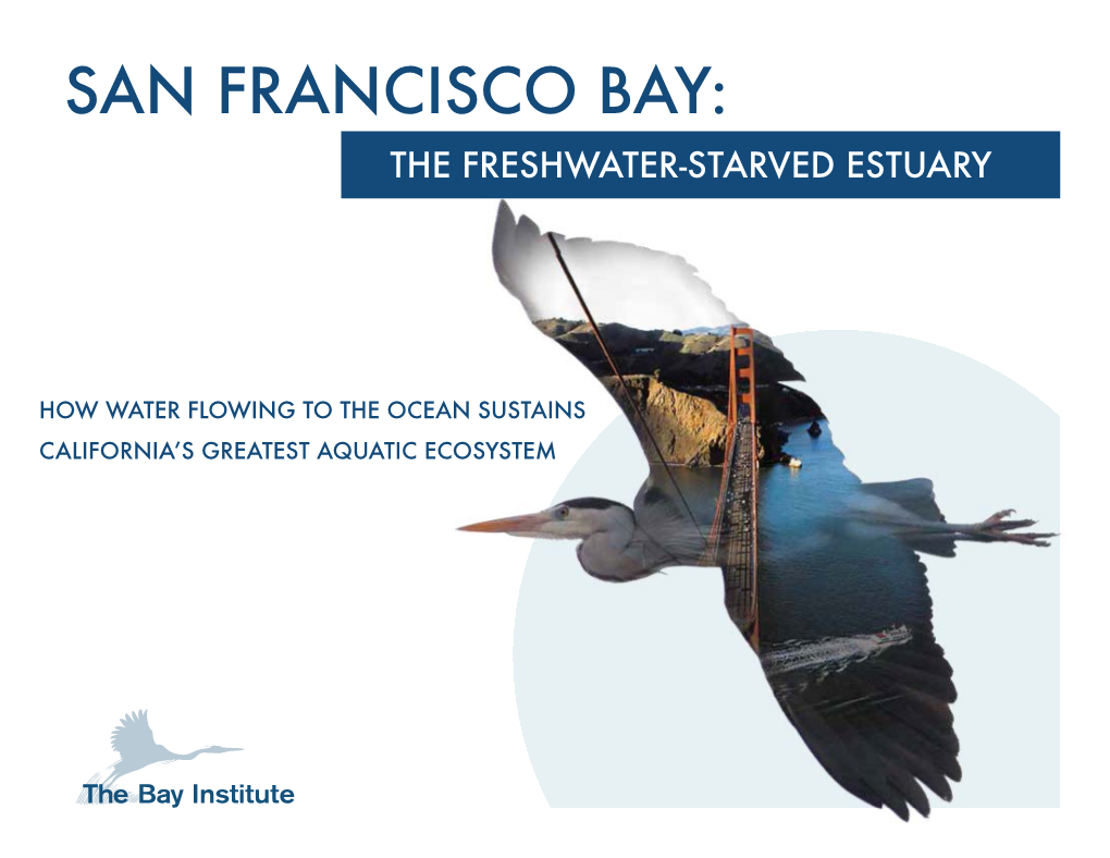 San Francisco Bay Freshwater-Starved Estuary