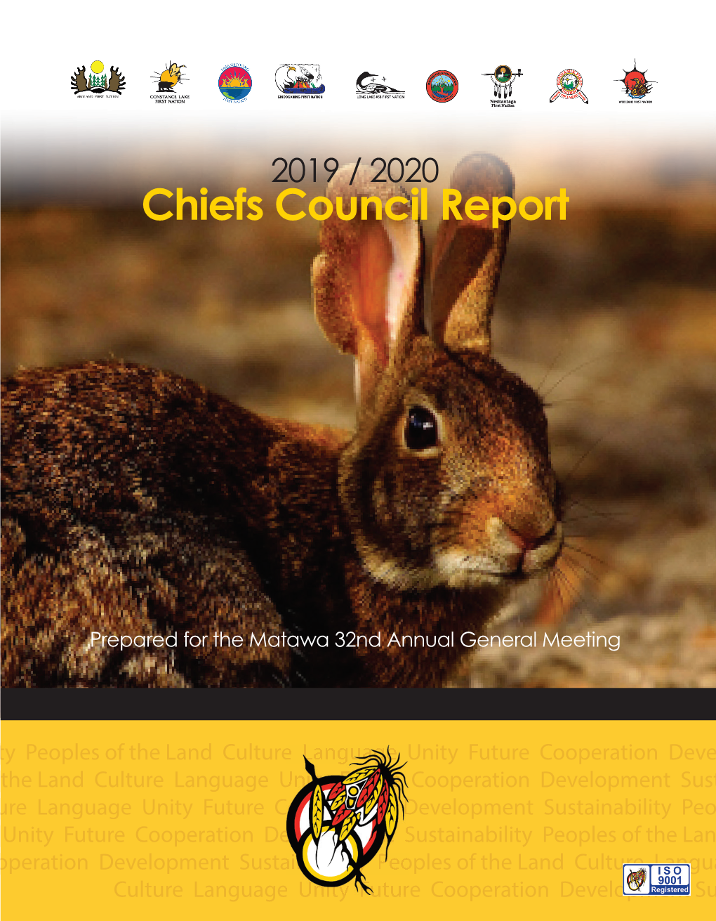Chiefs Council Report