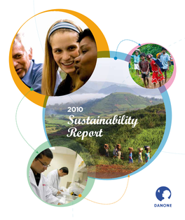 2010 Sustainability Report Strategy