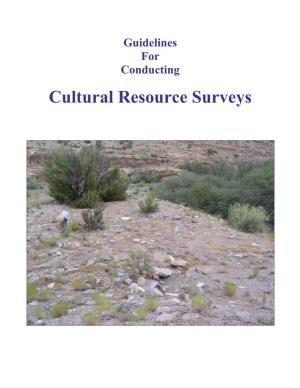 Cultural Resource Surveys