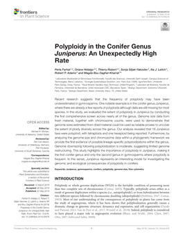 Polyploidy in the Conifer Genus Juniperus: an Unexpectedly High Rate