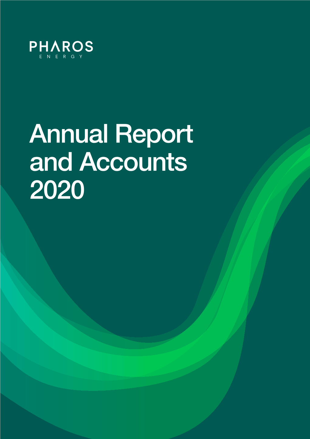 Annual Report and Accounts 2020