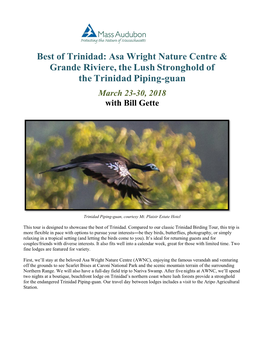 Best of Trinidad: Asa Wright Nature Centre & Grande Riviere, the Lush Stronghold of the Trinidad Piping-Guan