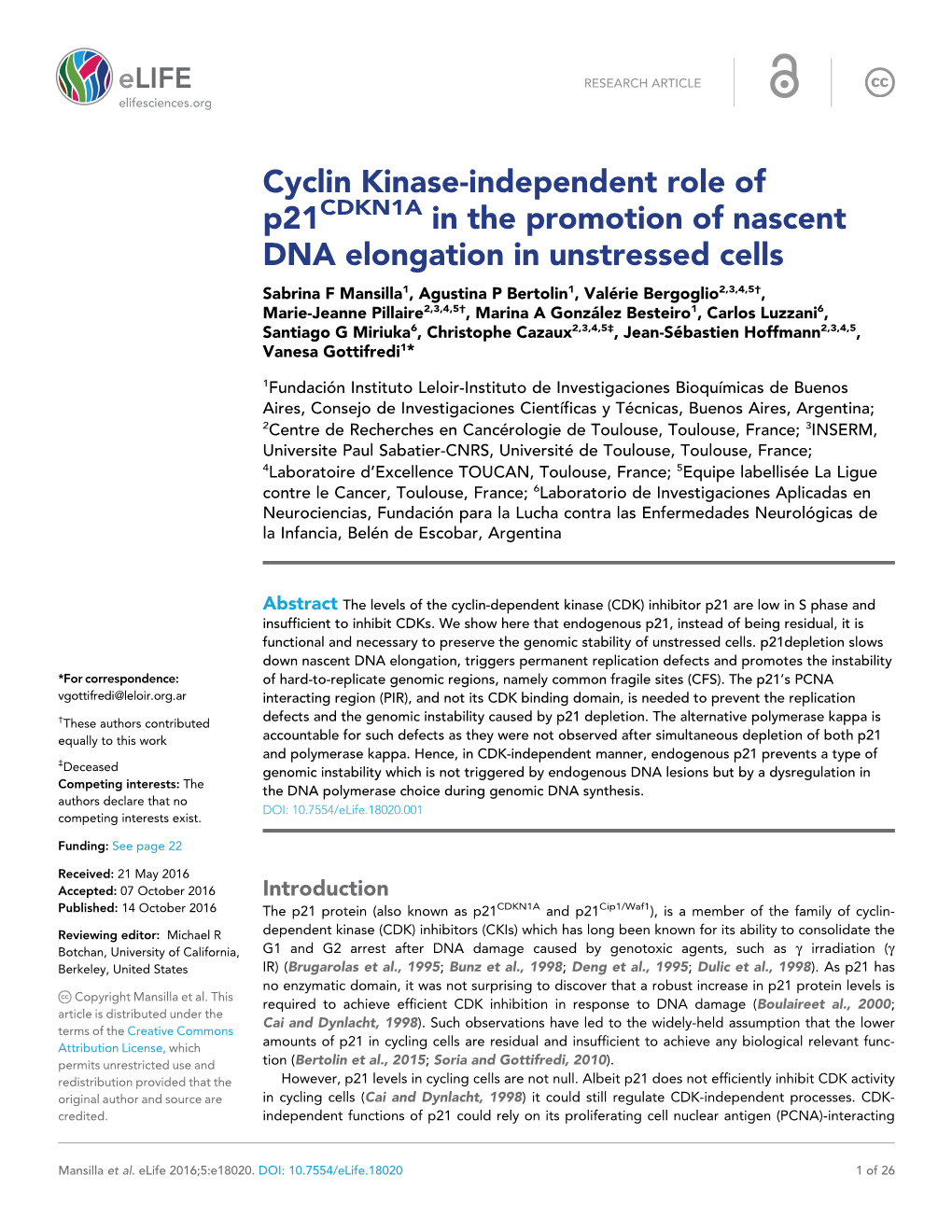 Cyclin Kinase-Independent Role of P21 in the Promotion of Nascent DNA Elongation in Unstressed Cells