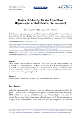 Review of Dibrachys Förster from China (Hymenoptera, Chalcidoidea, Pteromalidae)