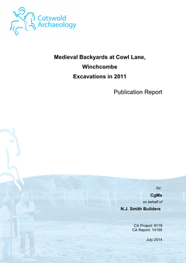 Publication Report