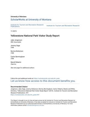 Yellowstone National Park Visitor Study Report