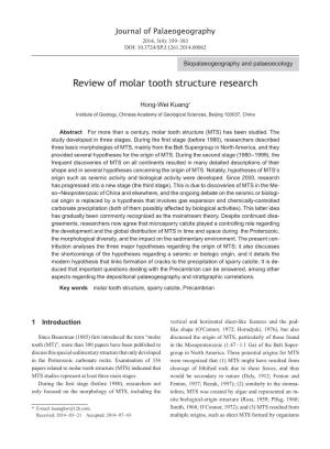 Review of Molar Tooth Structure Research