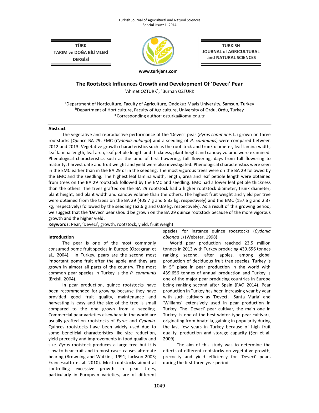 The Rootstock Influences Growth and Development of 'Deveci' Pear