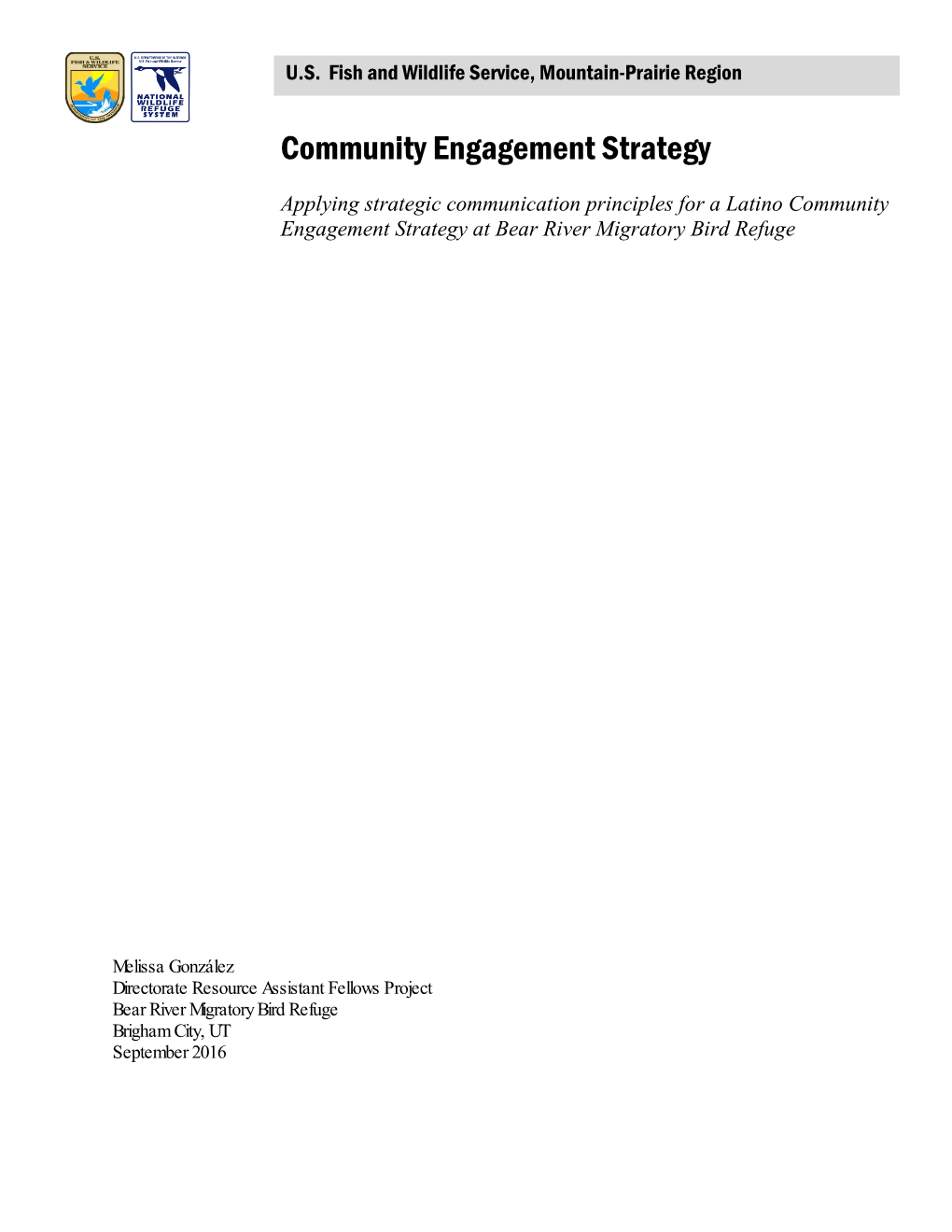 Community Engagement Strategy