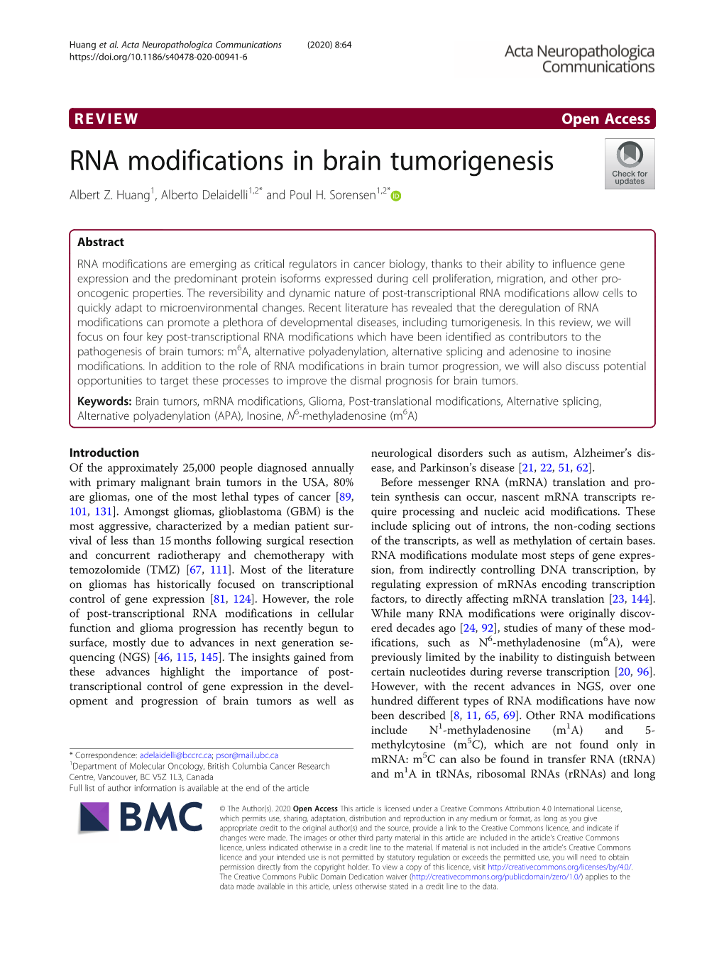 RNA Modifications in Brain Tumorigenesis Albert Z