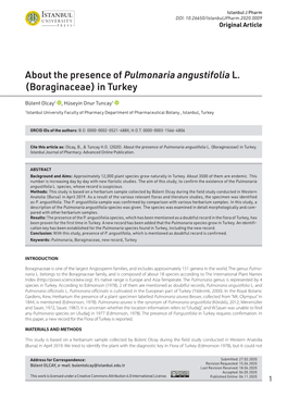 About the Presence of Pulmonaria Angustifolia L. (Boraginaceae) in Turkey