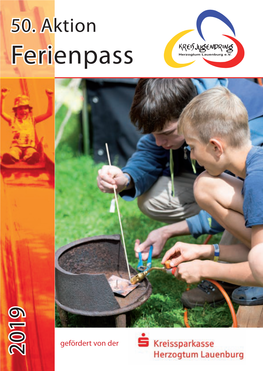 Kreisjugendring Ferienpass Alleine 2019.Indd