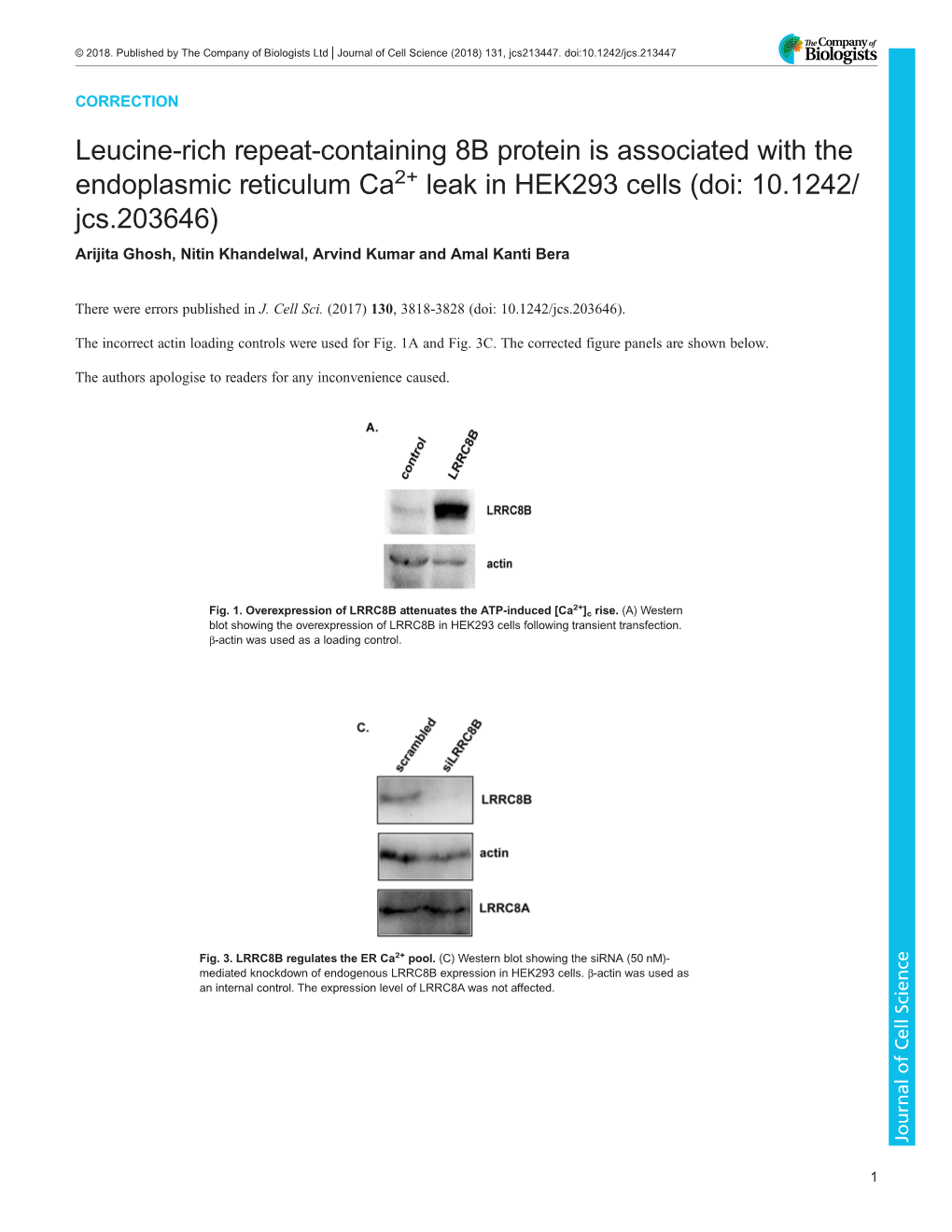 Leucine-Rich Repeat-Containing 8B Protein Is Associated with The