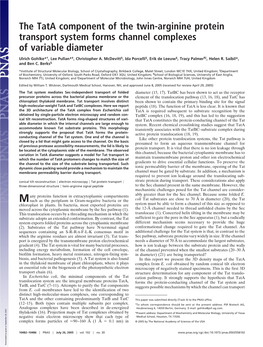 The Tata Component of the Twin-Arginine Protein Transport System Forms Channel Complexes of Variable Diameter