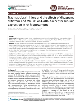 Traumatic Brain Injury and the Effects of Diazepam, Diltiazem, and MK-801