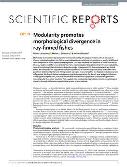 Modularity Promotes Morphological Divergence in Ray-Finned Fishes