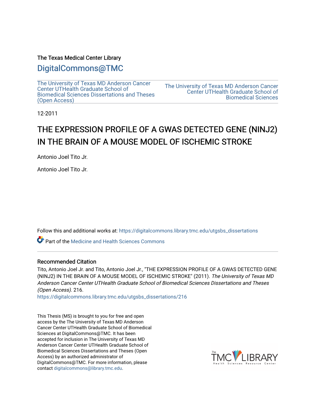 In the Brain of a Mouse Model of Ischemic Stroke