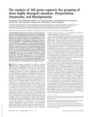 The Analysis of 100 Genes Supports the Grouping of Three Highly Divergent Amoebae: Dictyostelium, Entamoeba, and Mastigamoeba