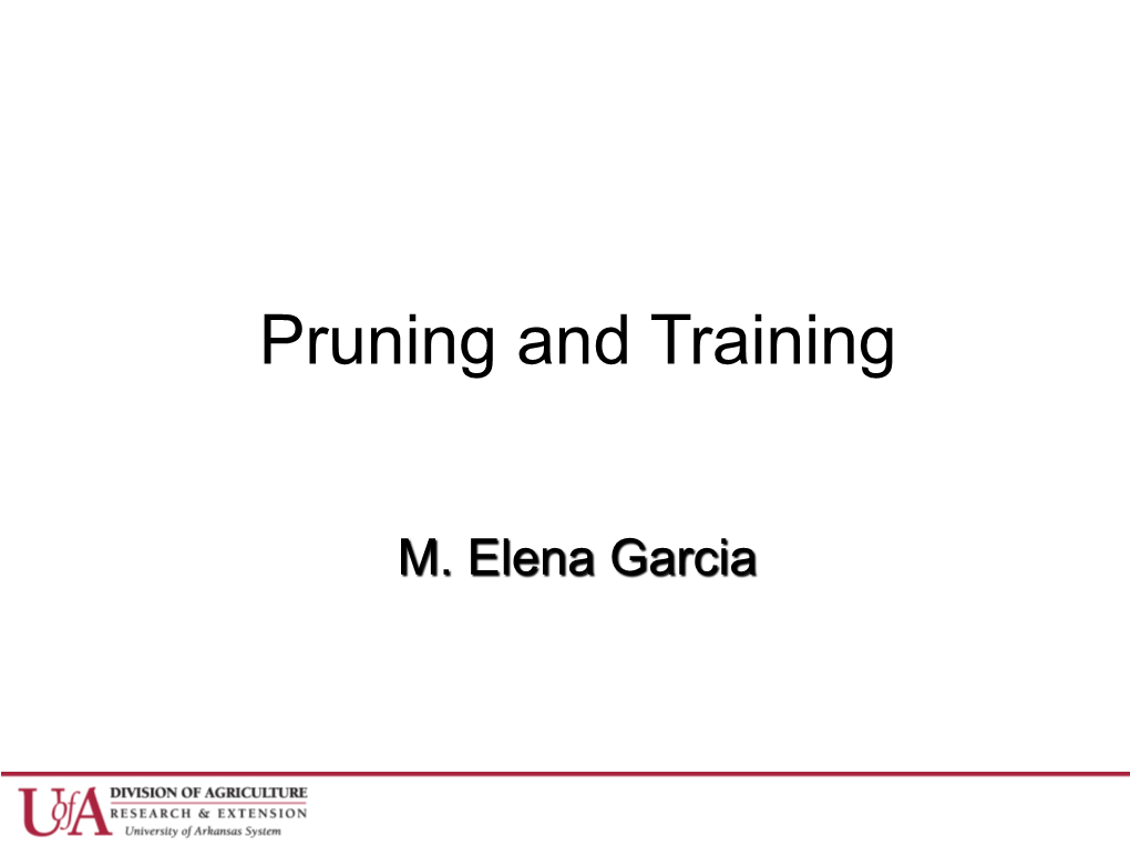 Pruning and Training Fruit Trees