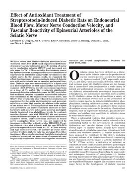 Effect of Antioxidant Treatment of Streptozotocin-Induced Diabetic Rats on Endoneurial Blood Flow, Motor Nerve Conduction Veloci