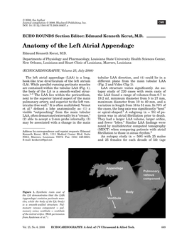 Anatomy of the Left Atrial Appendage