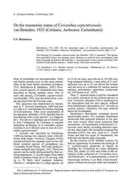 On the Taxonomic Status of Cerianthus Septentrionalis Van Beneden, 1923 (Cnidaria: Anthozoa: Ceriantharia)