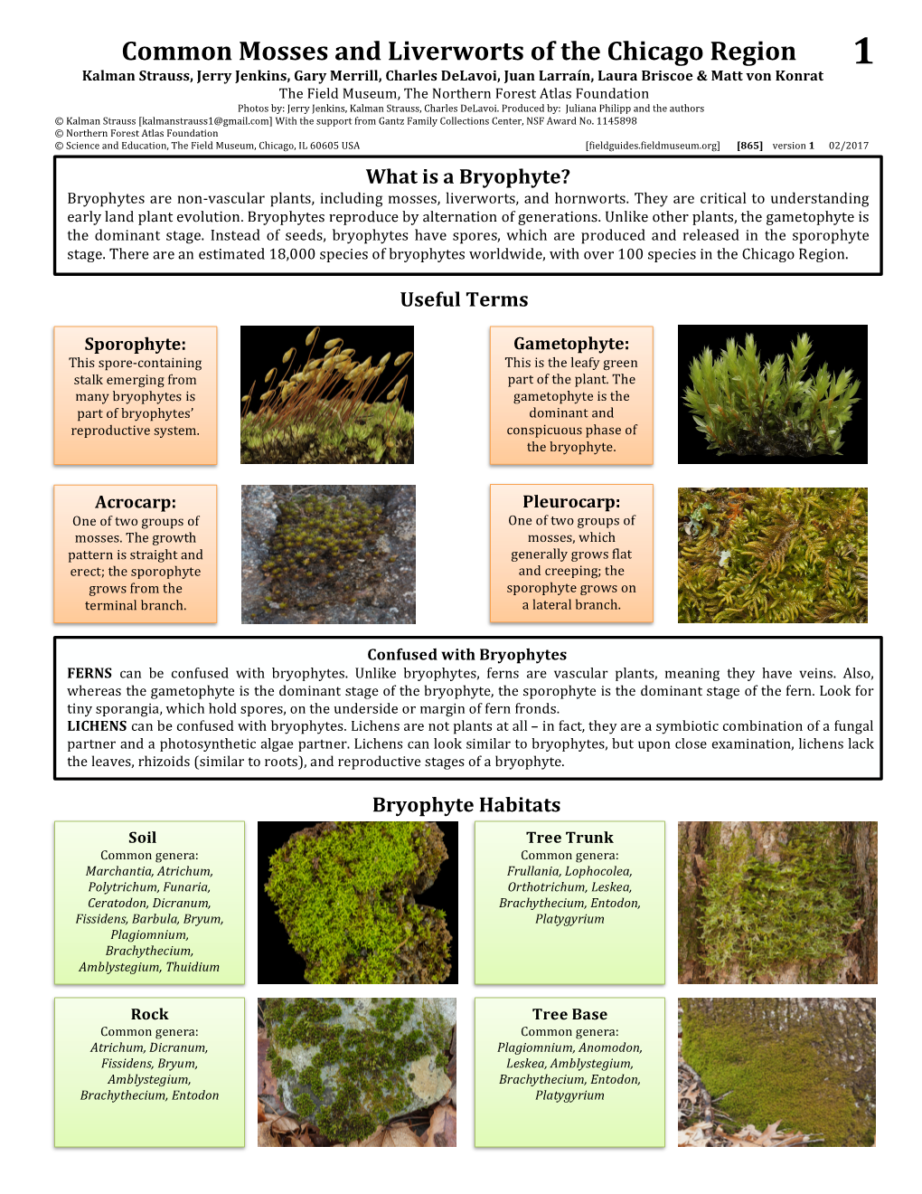 Mosses and Liverworts of the Chicago Region