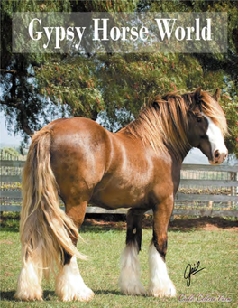 Gypsy Horse World Magazine Vol 7 No 3