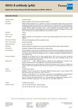 NKX2-8 Antibody (Pab)